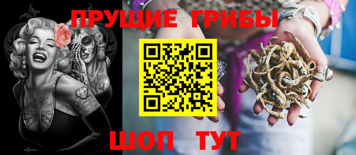 Псилоцибиновые грибы Cubensis Мегион