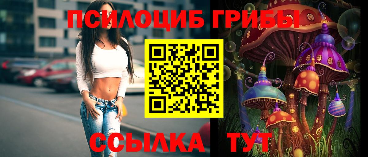 закладки  Галлюциногенные грибы GOLDEN TEACHER  Вход с VPN  Мегион 